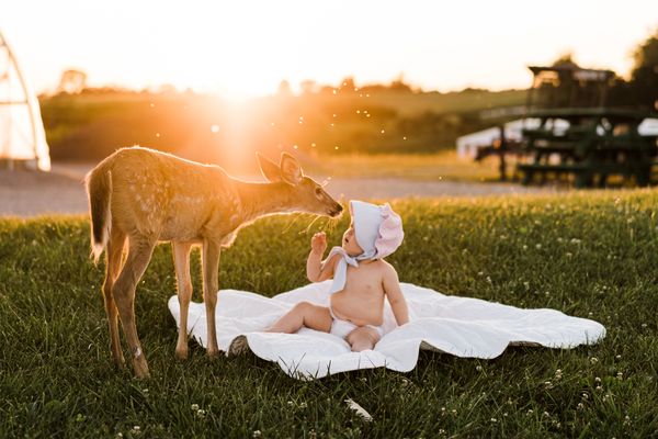 Custom Preset — AI Style