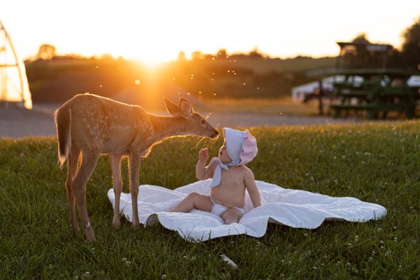 Custom Preset — Original