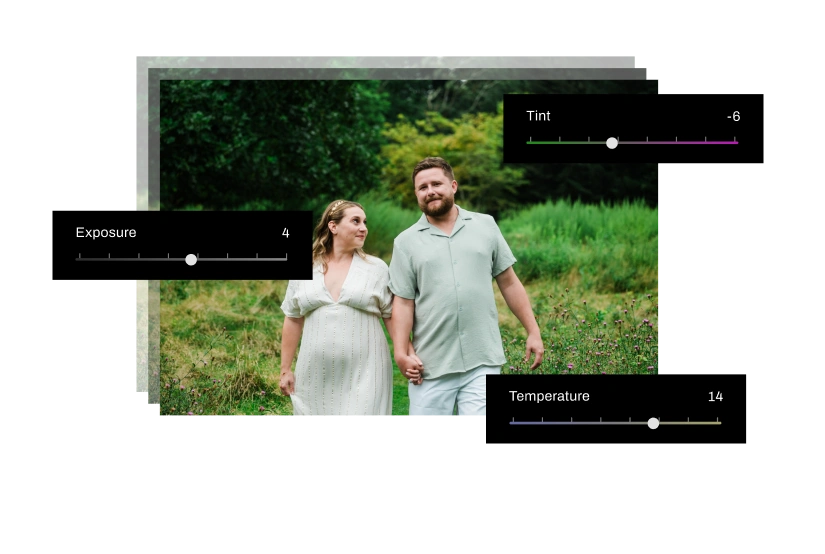 AI adjusting exposure, tint and temperature